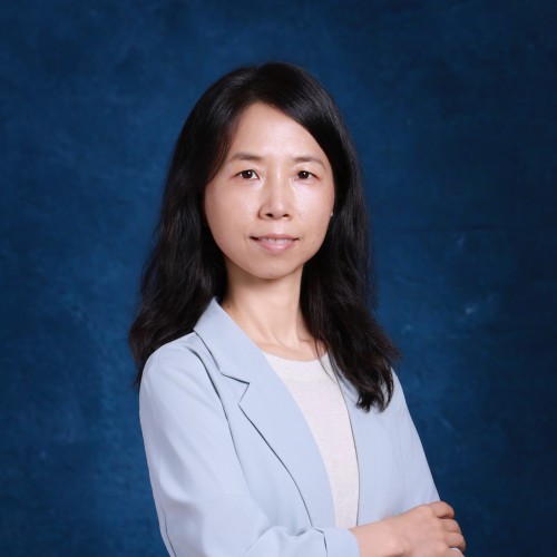 Yi WANG, Assistant Professor